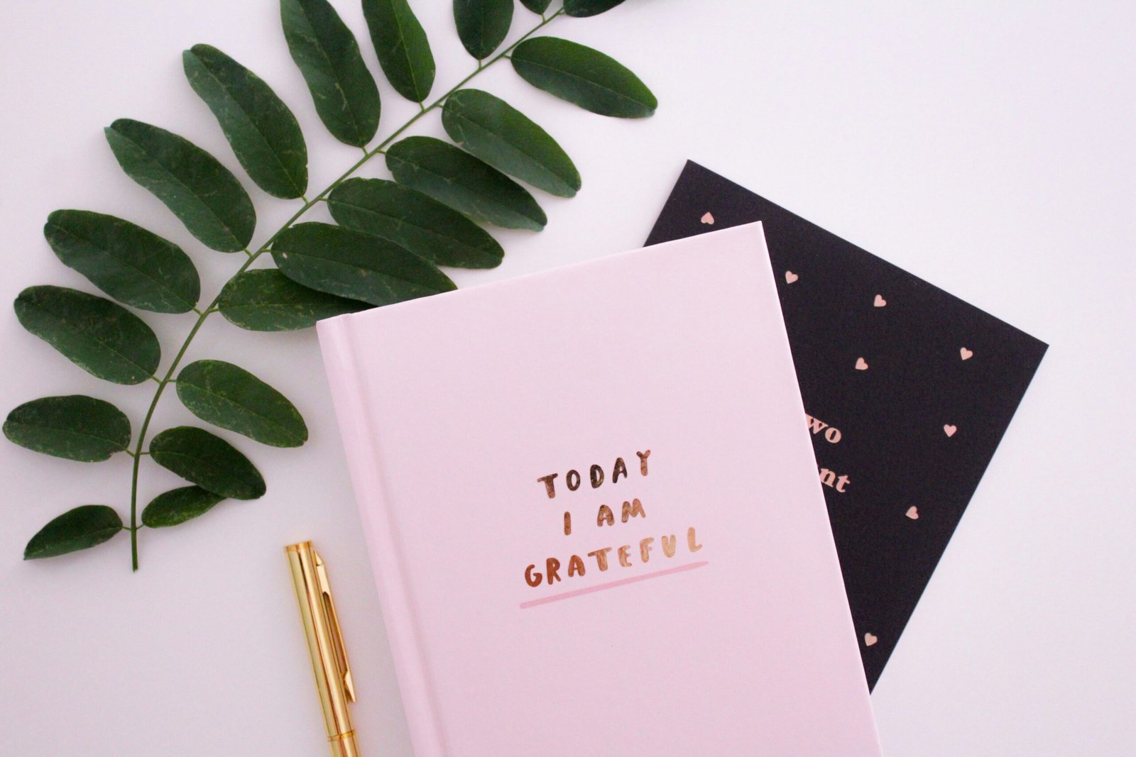 How to Create Your Own Gratitude Journal: Prompt Ideas to Start Your Journey